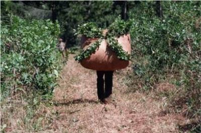 Diputados nacionales comenzaron a analizar situaci�n del INYM