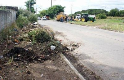 Retiraron 84 camiones de residuos de terrenos de la zona del Puerto