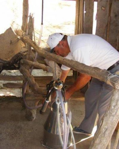 Entregaron orde�adoras a m�s de 200 familias de peque�os tamberos