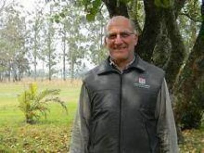 Aprueban nueva variedad de arroz del Inta Corrientes