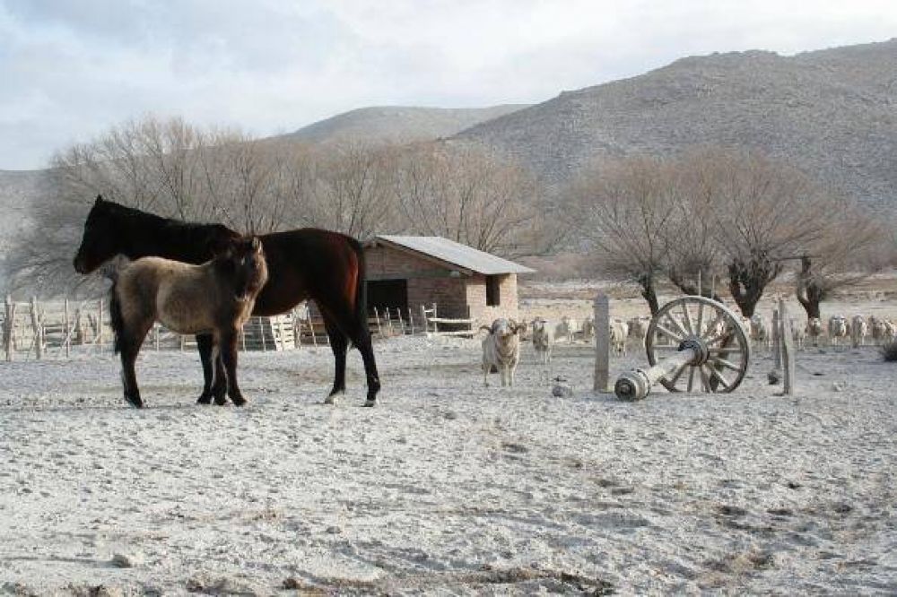 Trabajan por la emergencia en zonas rurales