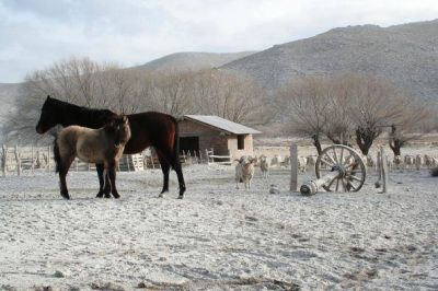 Trabajan por la emergencia en zonas rurales