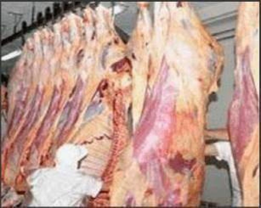 En octubre comenzar� a funcionar el abasto de carnes en el Mercado Central
