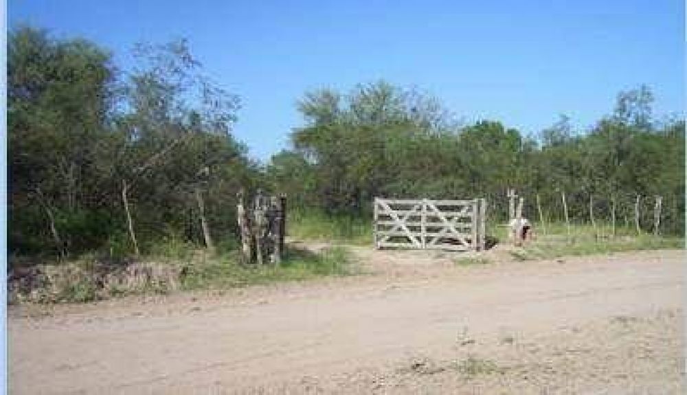 Quintela lanza programa para asistir a productores por la falta de lluvias