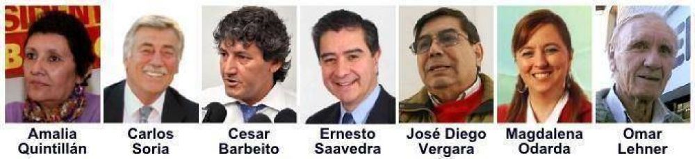 R�o Negro decide