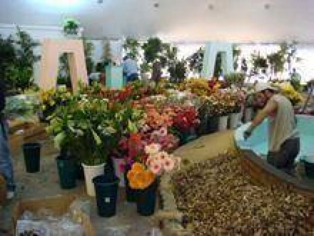 Anuncian el Primer Encuentro Provincial de Floricultura