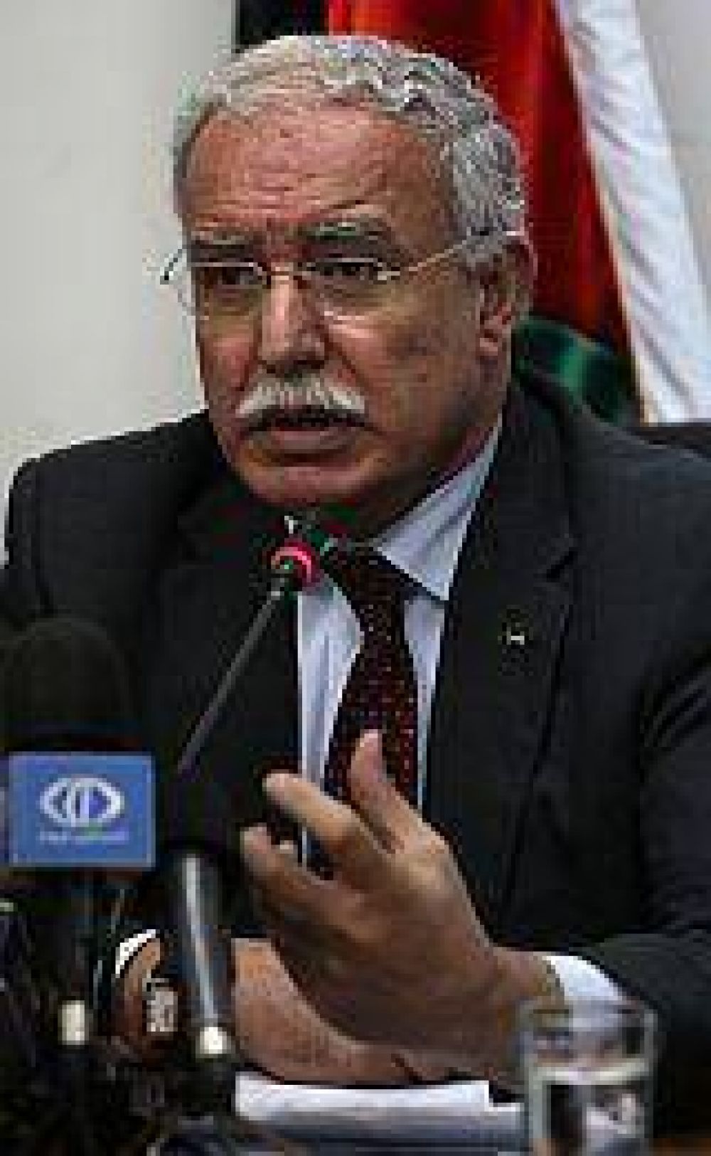 Palestina trabaja para conseguir voto clave en el Consejo de Seguridad