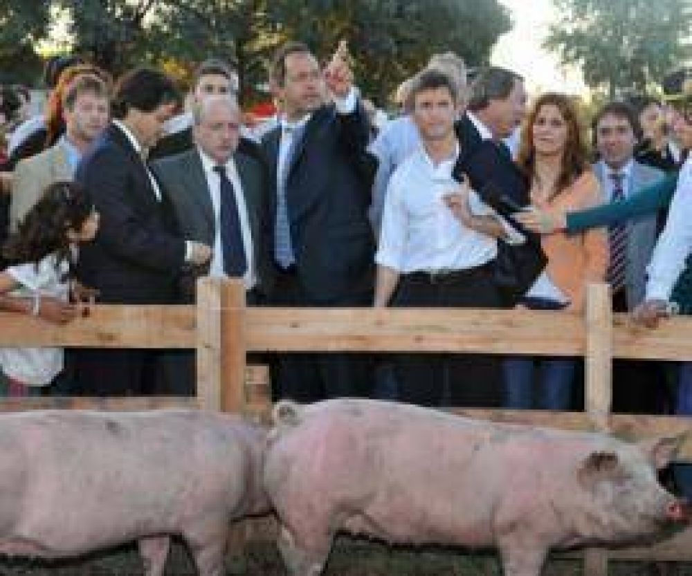 Scioli en consonancia con el gobierno nacional destaca reequipamiento de escuelas t�cnicas