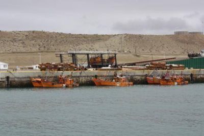 La Presidenta inaugurar� ampliaci�n del Pto. Caleta Paula