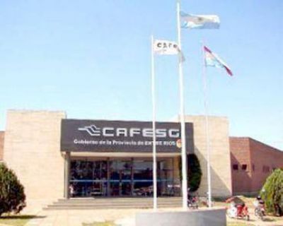 Lanzan nuevos cr�ditos del microbanco de CAFESG
