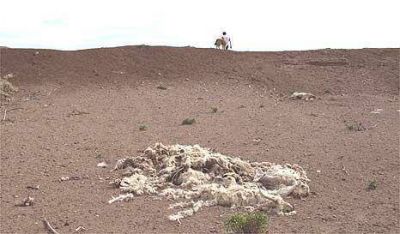 Chaco tambi�n entr� en estado de emergencia rural