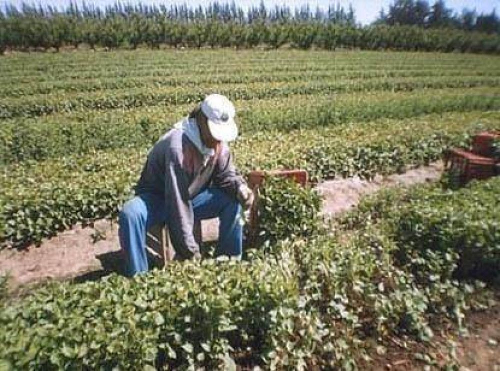 "La vasta zona de Colonia 3 de Abril y sus habitantes merecen ser tratados como municipio�