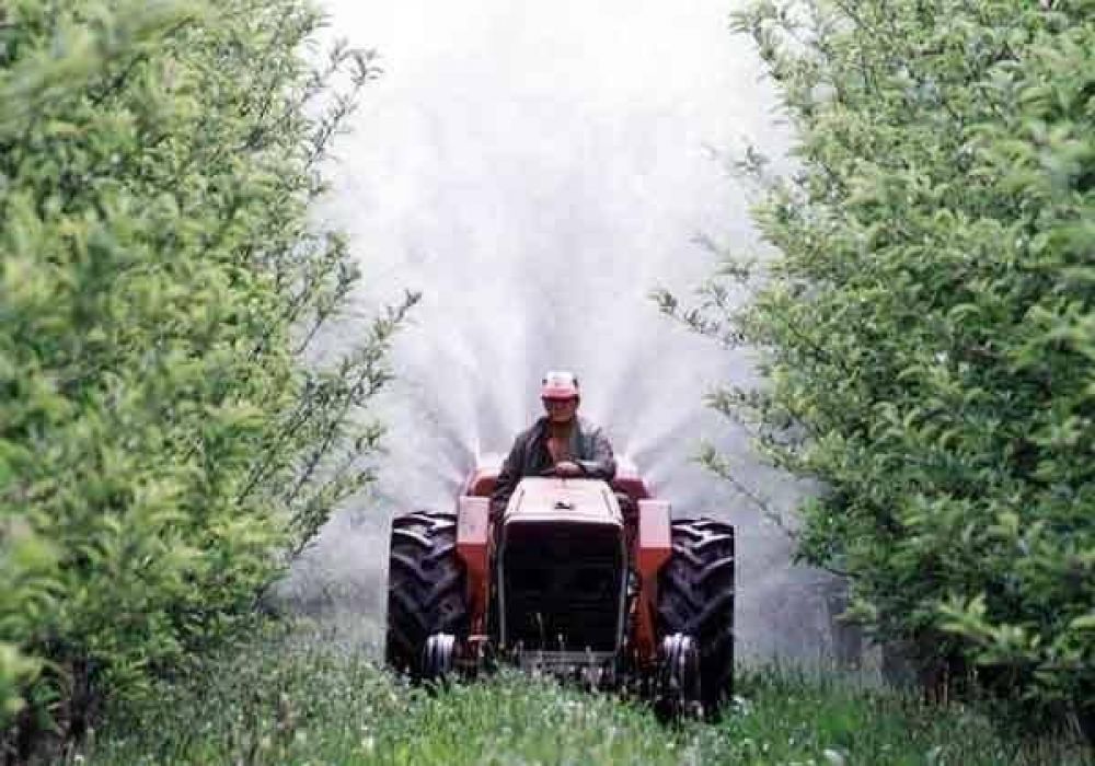 Preparan proyecto para la crisis frut�cola neuquina