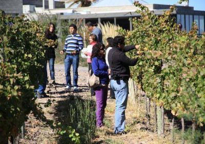 M�s de un mill�n de turistas visitaron bodegas en el �ltimo a�o