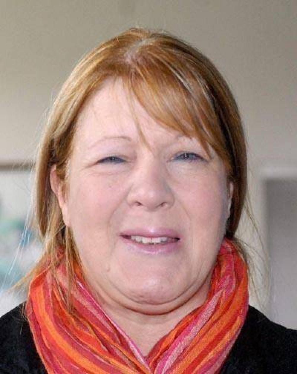 Stolbizer asegur� que la pol�tica de seguridad provincial es err�tica