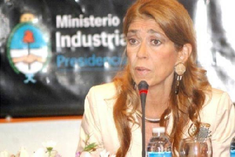 D�bora Giorgi acus� que "intereses importadores buscan debilitar la industria"