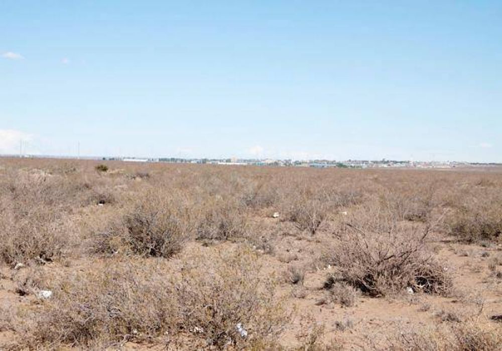 Para Bertoldi, en la meseta habr� �un nueva ciudad�