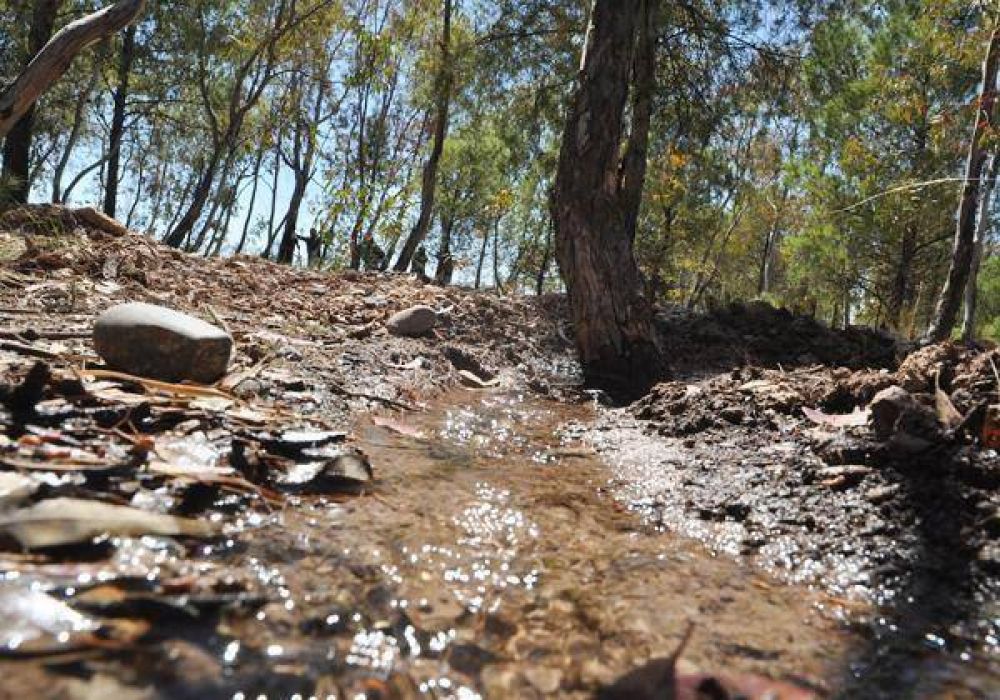 Mayor frecuencia y m�s agua para regar las 56 hect�reas forestadas de Parque Norte