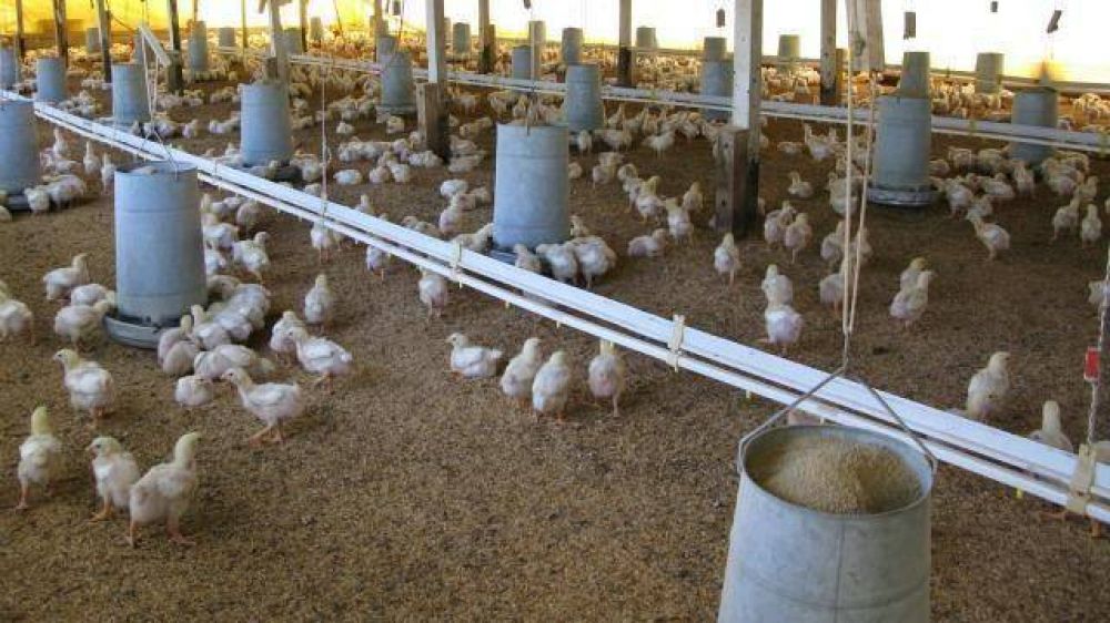 El Ejecutivo envi� una iniciativa para aumentar el financiamiento para el agro
