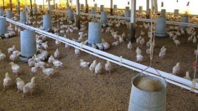 El Ejecutivo envi� una iniciativa para aumentar el financiamiento para el agro