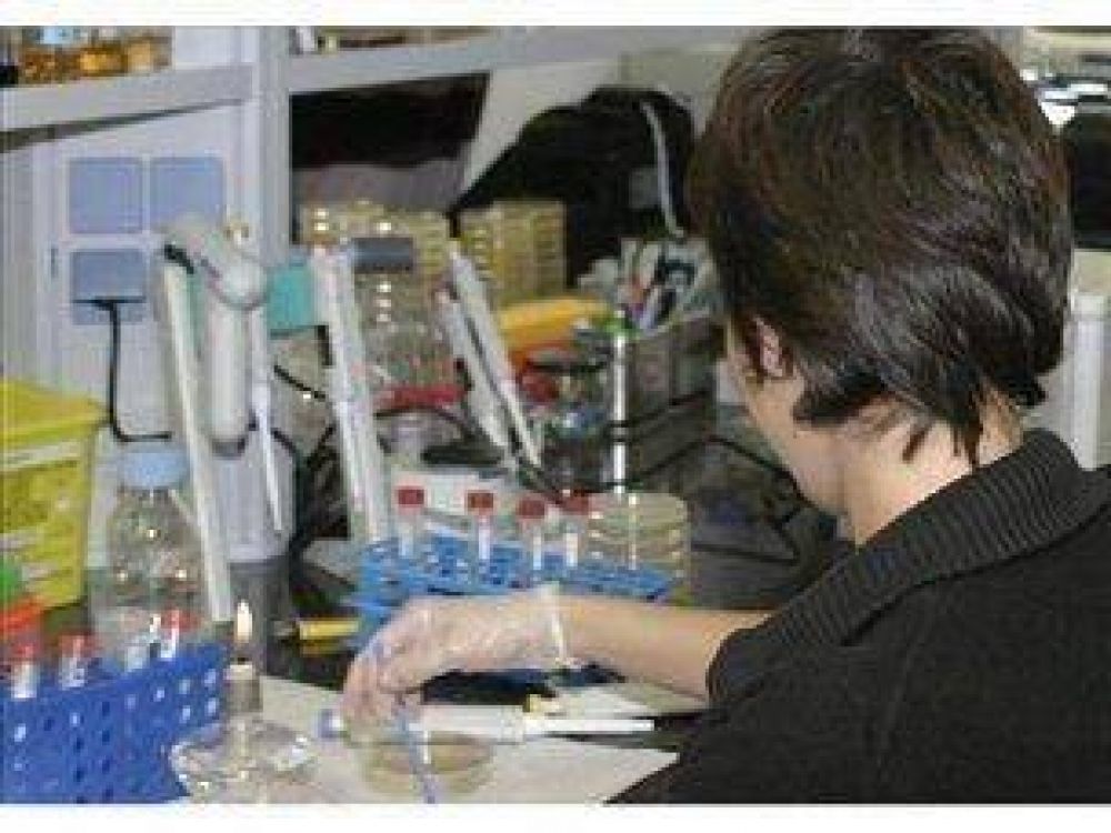 Desarrollaron un biosensor econ�mico para medir glucosa en tiempo real