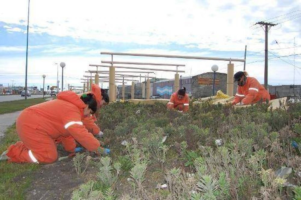 Municipalidad comenz� trabajos de parquizaci�n y prepara el cultivo de especies florales