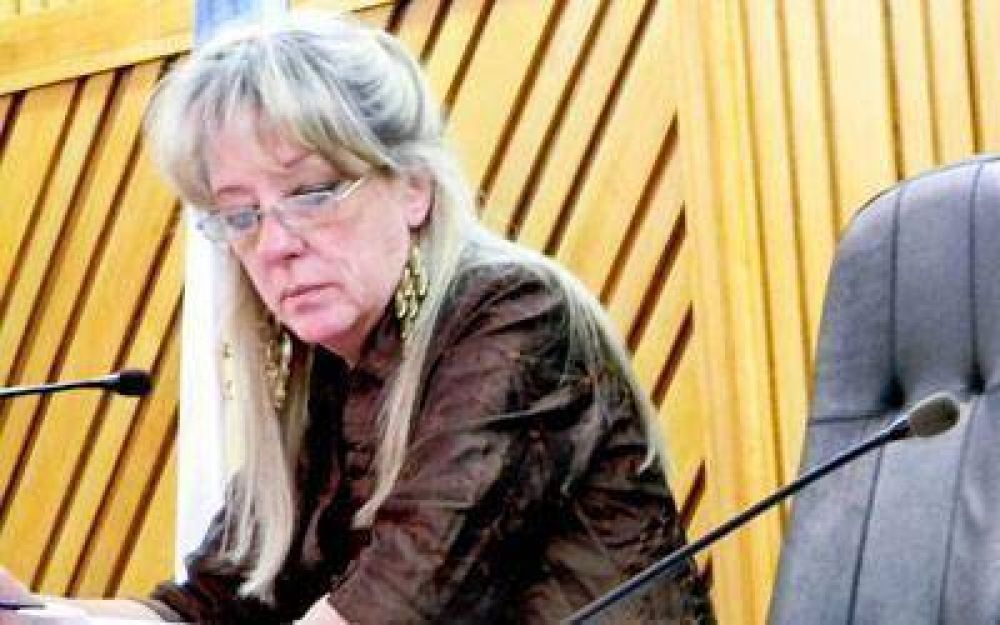 El Concejo ratific� la necesidad de contar con un ente de control