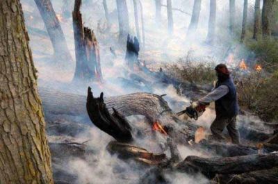 Controlaron el incendio en Tolhuin y se dejar� una guardia de cenizas por la noche Destacado