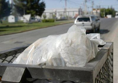 De a poco, se normaliza la recolecci�n de basura