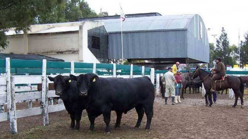 Comenz� la 64� Expo Rural de San Luis