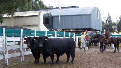Comenz� la 64� Expo Rural de San Luis