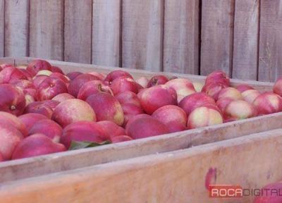 Productores siguen con la incertidumbre