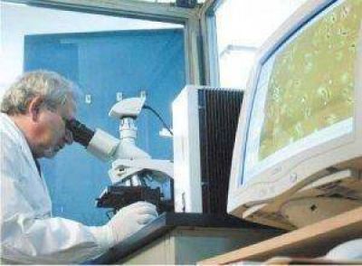 Desde el a�o 2004 regresa un cient�fico argentino cada tres d�as