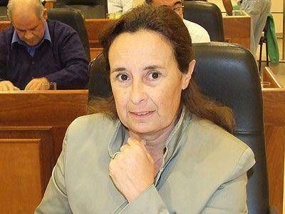  SAN VICENTE | CONCEJO DELIBERANTE    El PJ insistir� en derogar los �superpoderes�