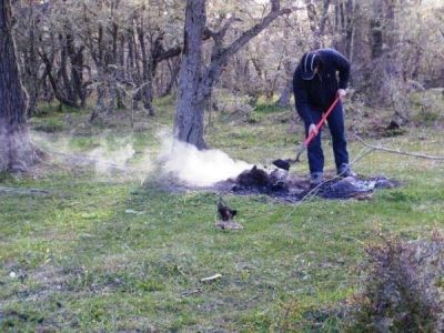 La Direcci�n de Bosques inst� a respetar reglamentaci�n a la hora de acampar