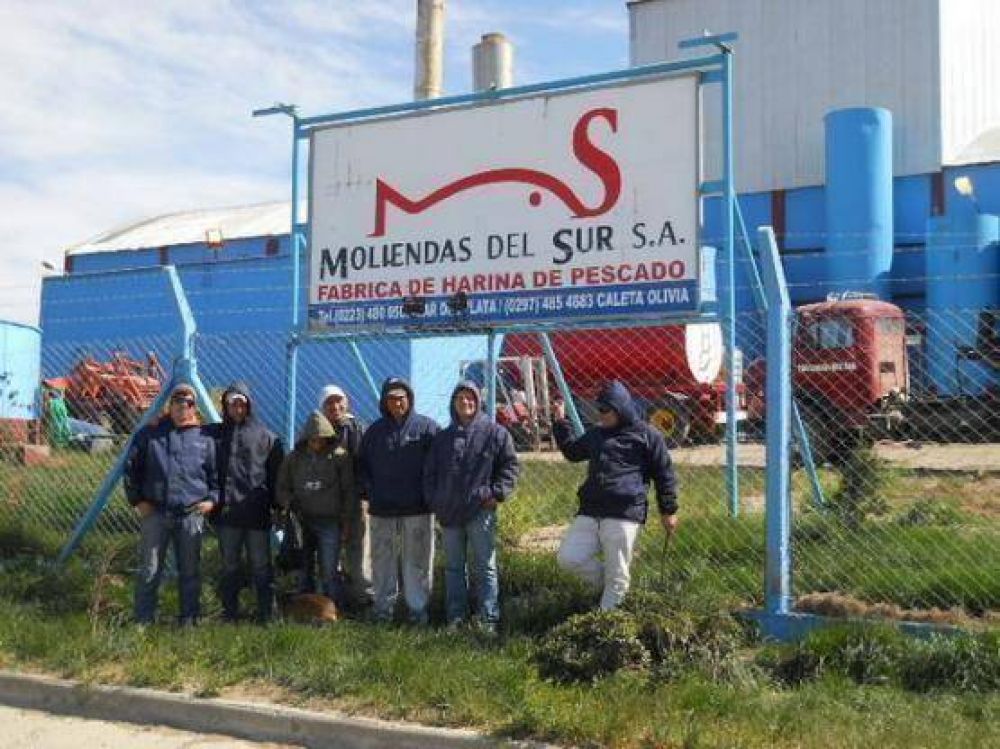 Est�n acumulados miles de kilos de pescado en putrefacci�n