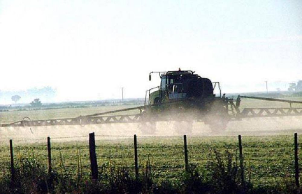 Nueva denuncia por fumigaciones en un campo de Chapadmalal