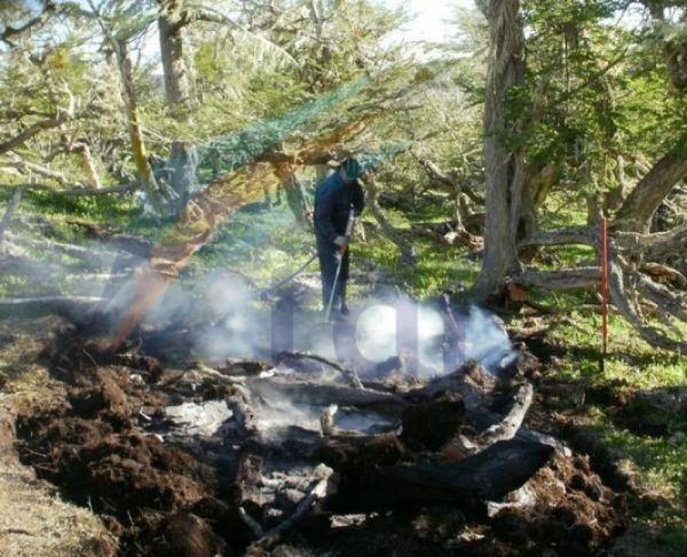Otro incendio forestal y podr�an aplicar restricciones a las salidas al campo Destacado
