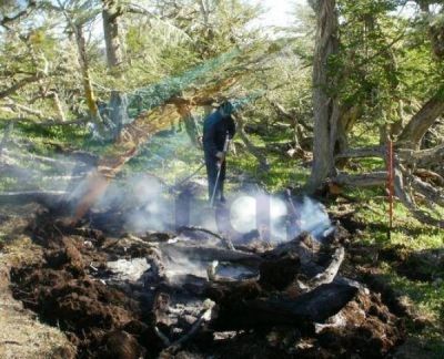 Otro incendio forestal y podr�an aplicar restricciones a las salidas al campo Destacado