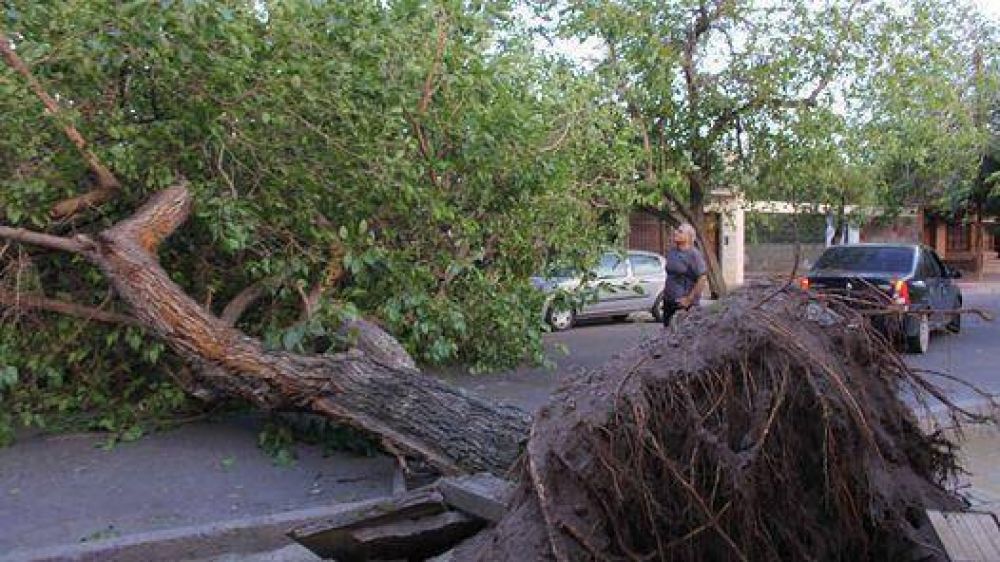 Un fuerte temporal azot� durante la madrugada la Ciudad y seis provincias