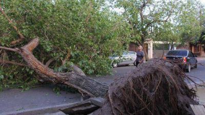 Un fuerte temporal azot� durante la madrugada la Ciudad y seis provincias