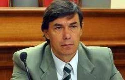 Vallejos: �Capitanich persigue una ventaja electoral para el 2012�		