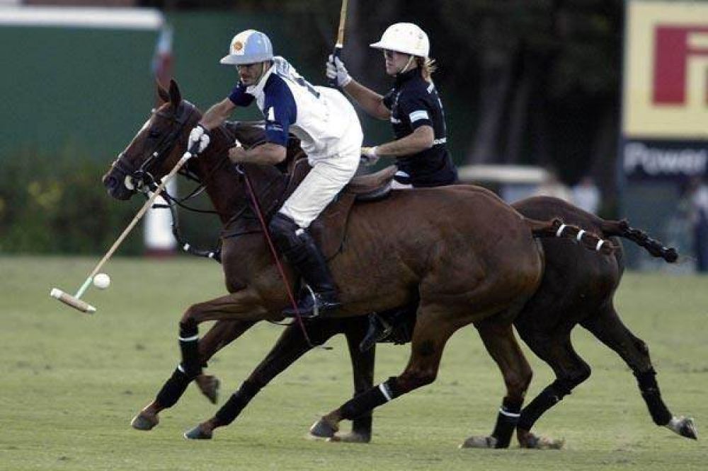 Le robaron 6 caballos de polo a Adolfo Cambiaso