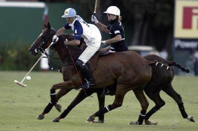 Le robaron 6 caballos de polo a Adolfo Cambiaso