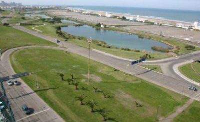 La tragedia del TC hizo prender una luz amarilla para Mogotes
