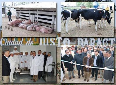 La producci�n y comercializaci�n de la carne, prioridades de la gesti�n de Alberto Rodr�guez Sa� 