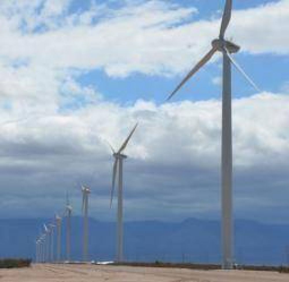 El Parque E�lico generar� divisas por 24 millones de d�lares al a�o