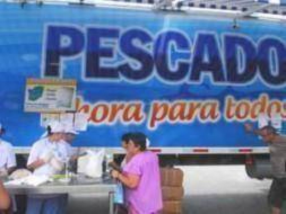 Ituzaing�: Llega "Pescado Para Todos"