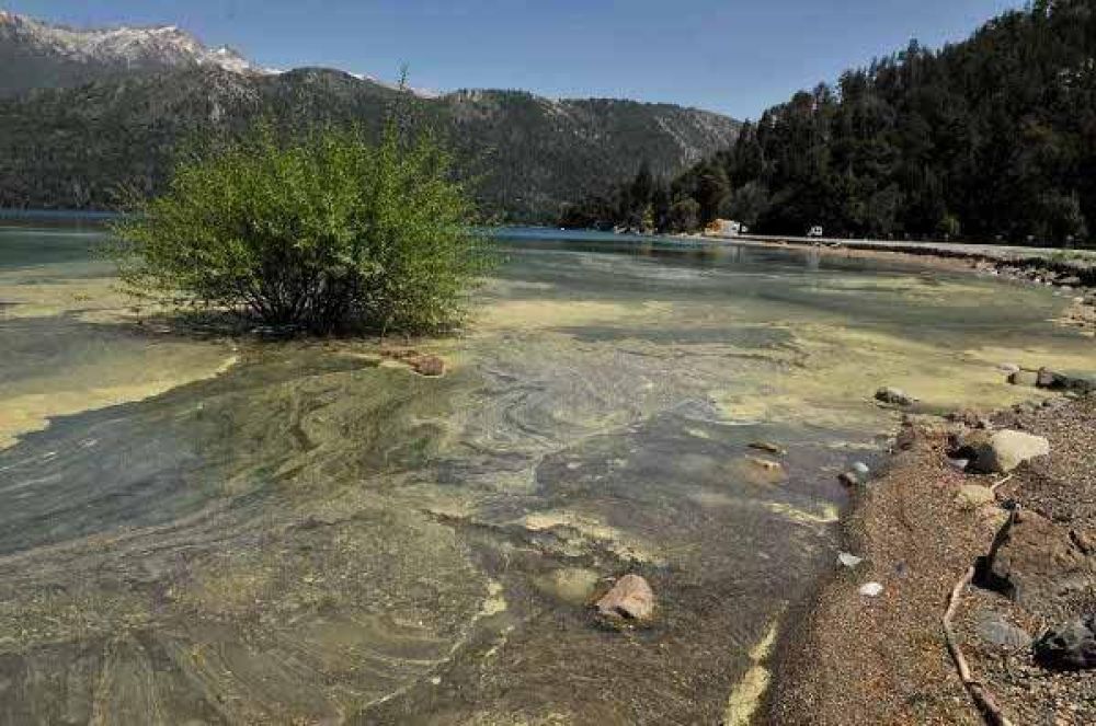 Extra�a mancha en el lago