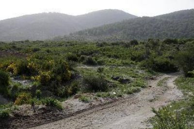 Ambientalistas piden revisi�n de la cota 900